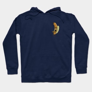 Hot Dog Jive Hoodie